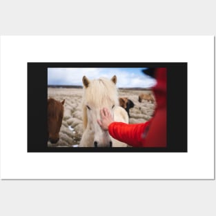 Men with hand on Icelandic White Horse Posters and Art